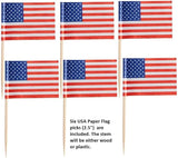 Oasis Supply, USA Cake Decorating Bundle - Includes 24 Sparkler Food Pick, 12 USA! Food Flag Picks, & 4oz Edible Red, White, & Blue Sprinkle