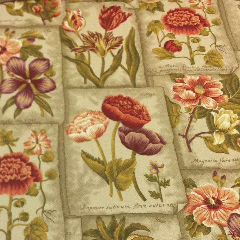 Waverly Botanic Garden In Plantation Mount Vernon Collection Cotton Fabric - Floral Tropical Botanical, 54" Width (1 Yard)