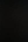 French Terry Knit Black Fabric