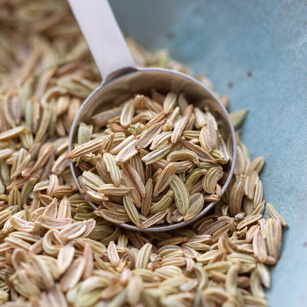 Regal Fennel Seed 8 oz.