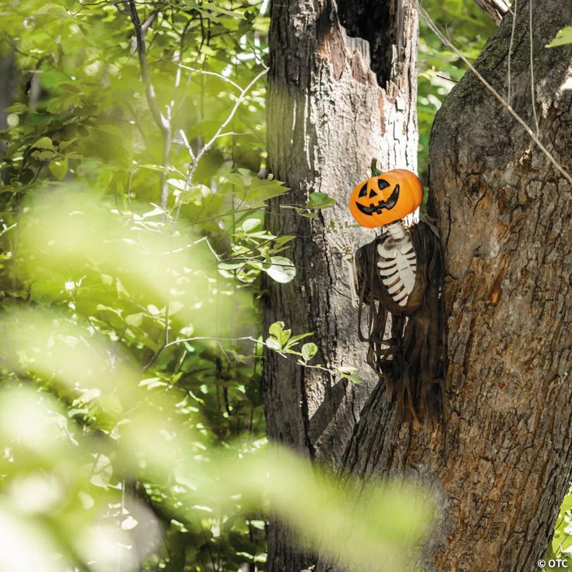 17 3/4" Hanging Waving Jack-O'-Lantern Pumpkin Creeper Halloween Decoration