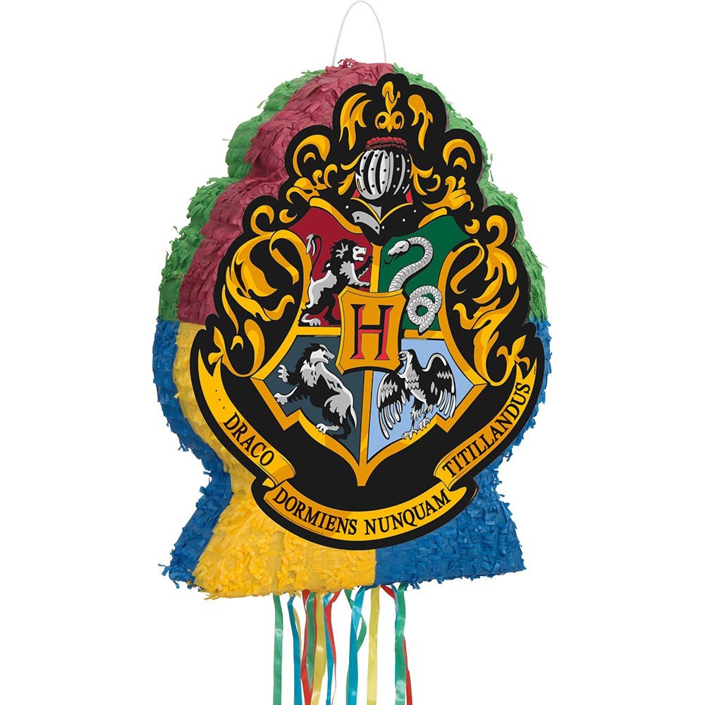 Harry Potter Shaped Pull Pinata