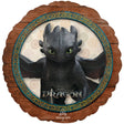 Foil Balloon How To Train Your Dragon