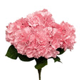 Hydrangea Bush Light Mauve Silk Flowers