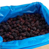 IQF Marion Blackberries 10 lb.