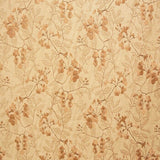 Ariana Fabric Soft and Stylish