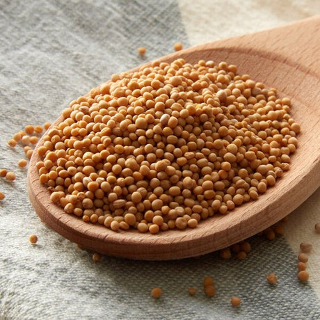 Regal Yellow Mustard Seed 16 oz.