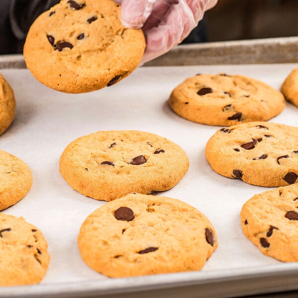 Rich's 1.5 oz. Everyday Chocolate Chip Cookie Dough - 210/Case