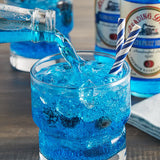Reading Soda Works Blueberry Birch Beer 12 fl. oz. - 12/Case