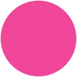Roxy & Rich 12 Gram Neon Pink Fondust Hybrid Food Color