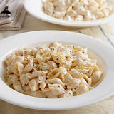 20 lb. Shell Pasta