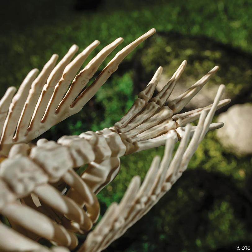 19 3/4" x 26" Flamingo Skeleton Halloween Outdoor Yard Decoration