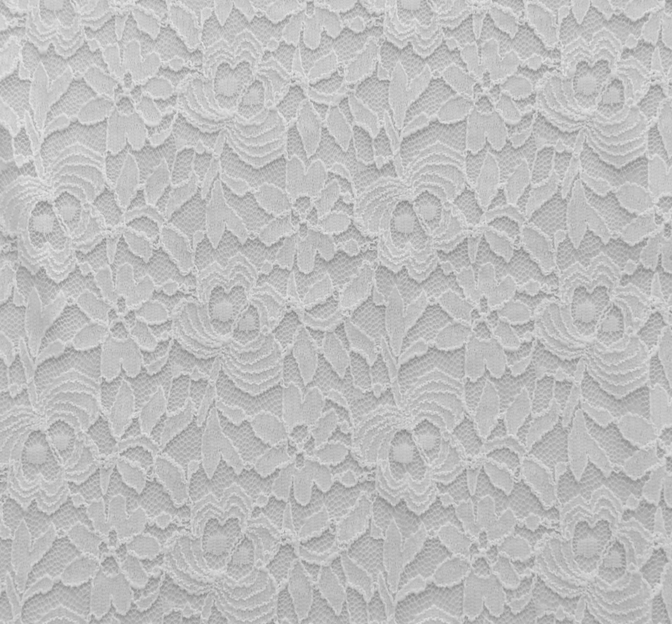 Lace 1D606 Nylon Spandex Fabric - Off White, 58/60" Width