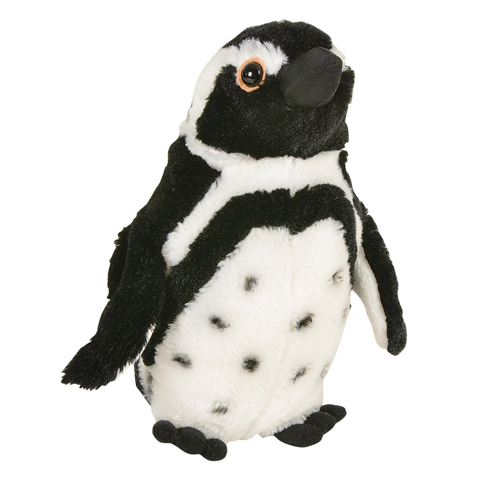 Black Foot Penguin Plush Toy
