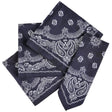 Blue Western Bandana 19" Bandana (1 DZ)
