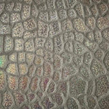 Velvet Hologram Embossed Giraffe Print Fabric