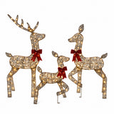 Lighted Silver Reindeer Christmas Yard Decor Set