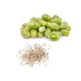 Sungreen Cherry Tomato Seeds 20 Seeds Organic Unique Green Cherry Tomato Variety