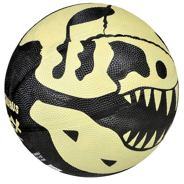 T-Rex Basketball 9.5"