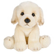 Floppy Golden Retriever Plush (1 PC)