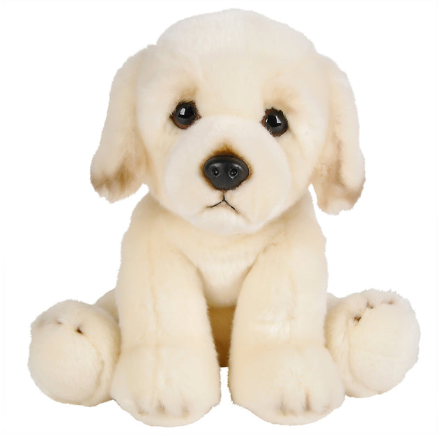 Floppy Golden Retriever Plush (1 PC)