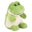 Plush Frog Bean Bag Toy