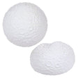 Squish Moon 2.75"