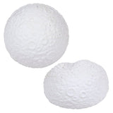 Squish Moon 2.75"