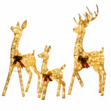 Lighted Reindeer Set Christmas Yard Decor Warm White LED