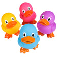 Big Rubber Ducky Collectible 5.75" (1 DZ)