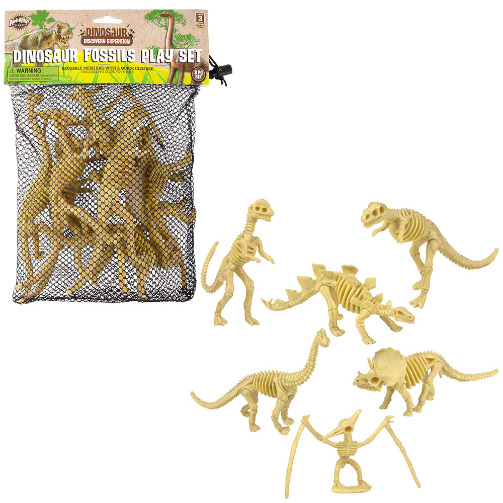 Dinosaur Fossil Assortment (1 PC)