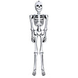 Skeleton Inflatable 6 Foot (1 PC)
