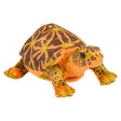 Plush Box Turtle (11")