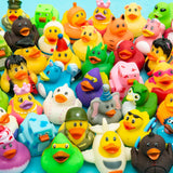 Rubber Ducky Assortment (50 Pc Bag)