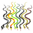 Rain Forest Snakes (1 DZ)