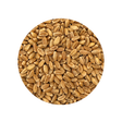 White Wheat Berry Kernels 1 Pound