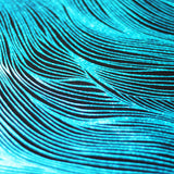 Strands Holo Nylon Spandex Fabric - Assorted Colors, Wavy Zebra Pattern, 58/60" Width (1 Yard)