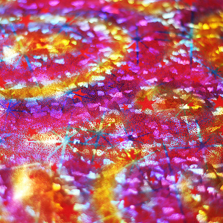 Cosmic Star Nylon Spandex Fabric - Red Multi/Black Multi, Rainbow Stars, 58/60" Width (1 Yard)