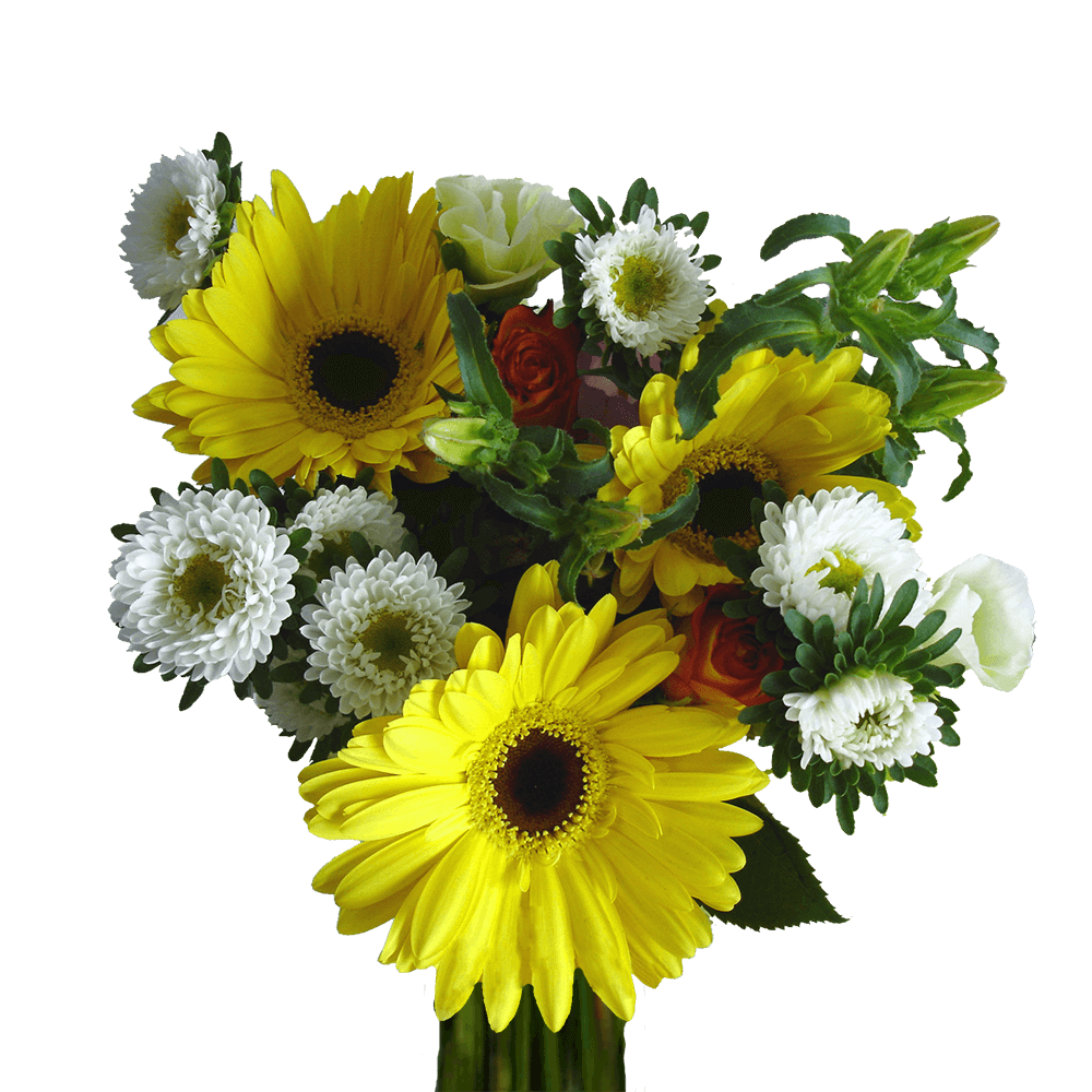 Delight Fresh Flower Bouquets Bulk Floral Pack for Events & Gifts