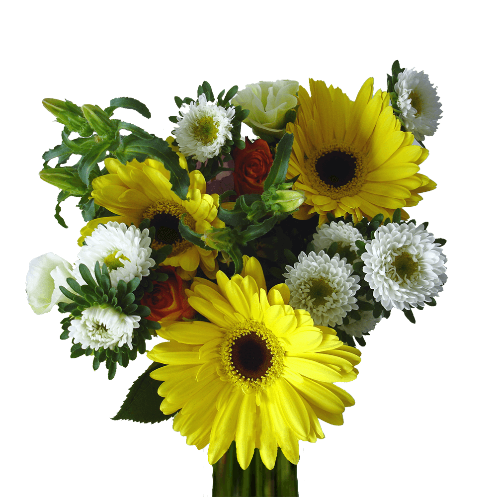 Delight Fresh Flower Bouquets Bulk Floral Pack for Events & Gifts