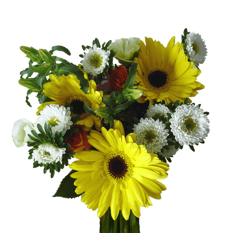 Delight Fresh Flower Bouquets Bulk Floral Pack for Events & Gifts
