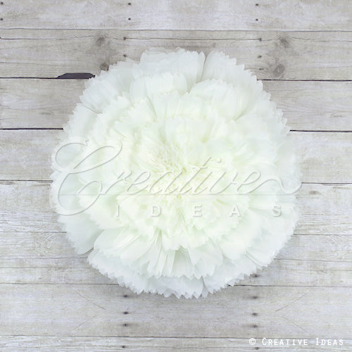 20" Tissue Starburst Flowers-Pc (Ivory)