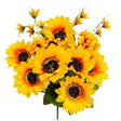 Sun Flower Bush Orange Yellow