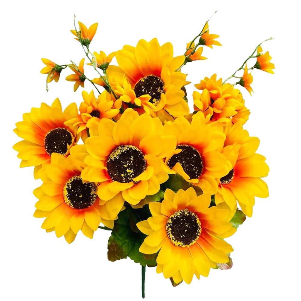 Sun Flower Bush Orange Yellow
