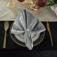 Velvet Dinner Napkins 20x20 Silver