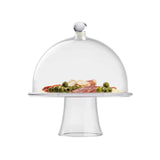 Clear Round Cake Dome Cover SAN Plastic