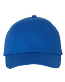 Bio-Washed Classic Dad Hat
