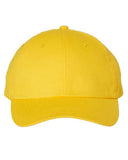 Bio-Washed Classic Dad Hat