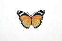 Butterfly Applique Monarch Orange 3 x 2