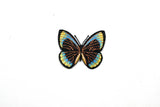 Butterfly Applique Monarch Orange 3 x 2